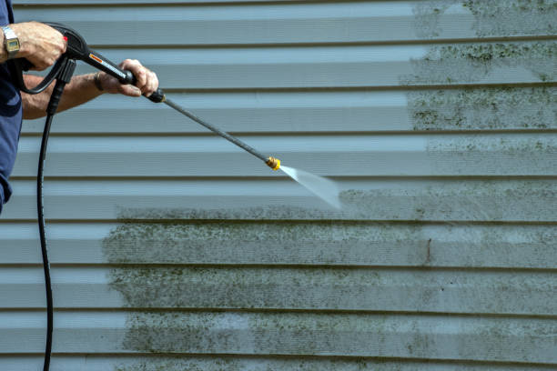 Best Building Exterior Pressure Washing in Blytheville, AR